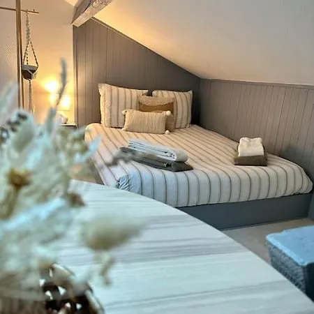 Calme Et Cosy -gare- Apartment Bourg-en-Bresse